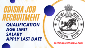 Odisha Panchayat Level Jobs Recruitment 2023